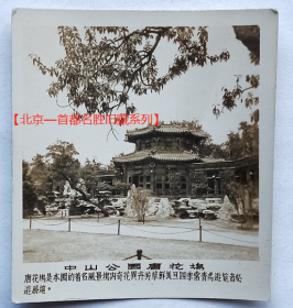 老照片：北京—中山公园唐花坞。配文字说明。【北京—首都名胜旧藏系列】