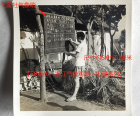 老照片：杭州—笕桥区—七星农业社气象哨，1958年9月12日。有背题。【陌上花开—50年代—浙江气象观测—旧藏系列】