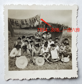 老照片：四川成都—解放军7854部队邛崃桑园军垦农场，1970年9月6日，一连六排“越忙越要学毛著”。横幅右侧有“7854…农场…一连六排”字样，有背题。【陌上花开系列】