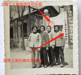 **老照片：国营上海石棉水泥制品厂，美女合影，有“上海工人革命造反司令部”、“伟大的领袖毛主席万岁”字样   【桐阴委羽系列】