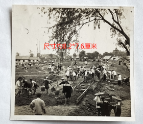 老照片：50年代，奋战在铁路建设工地—肩挑手抬。新华社供稿，第0621-3号，原版，背面有印章。