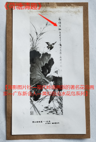 老照片：黄幻吾国画《荷塘清趣》，作于上海。——人物简介：黄幻吾，名罕，字幻吾，号罕僧，晚年称罕翁。广东新会人。早年临《芥子园画谱》兼画肖像，中学毕业后从事印刷及广告美术工作。1949年由菲律宾回国后执教于苏州美术专科学校和上海轻工业学校。【桐阴委羽—海影图片社—现代岭南画派的著名花鸟画家—广东新会人—黄幻吾山水花鸟系列】