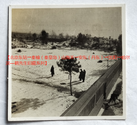 老照片：哈尔滨（参照同一批）风光，雪地雪景。背题“鹤”。【北京东站→秦榆（秦皇岛）山海关→安东（丹东）→沈阳→哈尔滨—鹤先生旧藏系列】