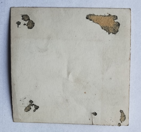 民国老照片:民国—美女干啥呢?做报告?!【民国上海霞飞路—客瑞宫公寓—大户人家旧藏系列】