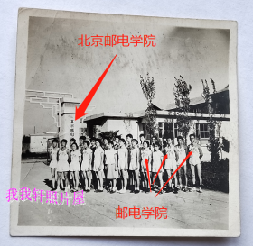 老照片：北京邮电学院，1960年7月23日，全体短跑体育运动员。看背题。——校简史：1955年以天津大学电话电报通讯和无线电通信广播两个专业、重庆大学电话电报通讯专业为基础组建北京邮电学院。1959年和1960年北京电信学院及其附属中技部、邮电科技大学先后并入。1993年更名为北京邮电大学。.【陌上花开系列】