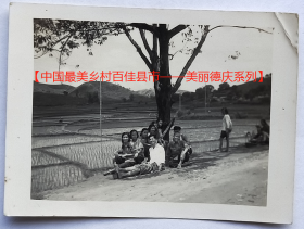 老照片：美丽德庆——田园风光。时间1954年（同一批另一张作参考！）。【陌上花开——中国最美乡村百佳县市——美丽德庆系列】