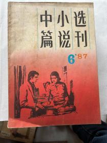 中篇小说选刊1987