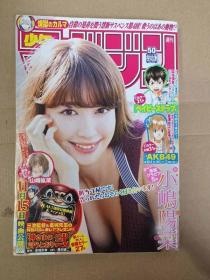 周刊少年MAGAZINE  14年11月号 小嶋阳菜封面 日文原版