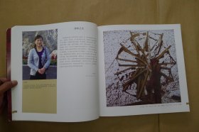 春花点点红三月女艺术家邀请展系列：髹漆·咏怀（2013中国女漆画艺术家作品集）