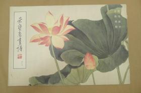 荣宝斋画谱47：花鸟部分