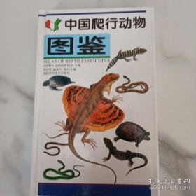 中国爬行动物图鉴