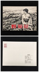 野菊花[抗日战争胜利70周年][人美50开平装][2]