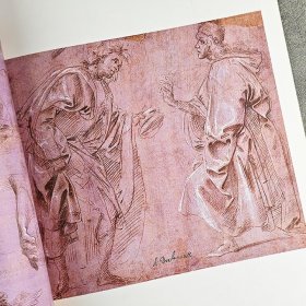 《世界素描大系：菲利皮诺·利皮》，超大开本，铜版纸全彩。收录56幅素描，人物表情生动、细节处理精确，无论是喜悦、悲伤还是沉思，都展现得淋漓尽致。