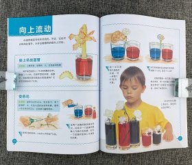 来自英国的“做中学”科普启蒙经典！“天天玩科学”全8册，8大领域，185个趣味实验游戏，易得的材料+极简的操作，学玩互动，带给孩子不可错过的能力与素养提升课。