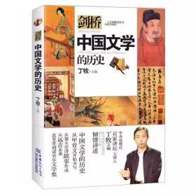 中国文学的历史 剑桥历史分类读本