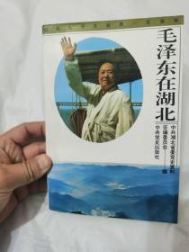 毛泽东在湖北