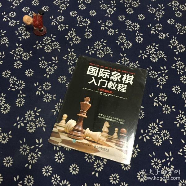 国际象棋入门教程（全彩图解版）