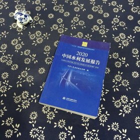 2020中国水利发展报告