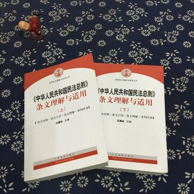 中华人民共和国民法总则 条文理解与适用（套装上下册）