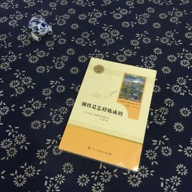 统编语文教材配套阅读 八年级下：钢铁是怎样炼成的/名著阅读课程化丛书