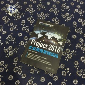 Project 2016企业项目管理实践