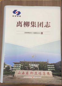 离柳集团志