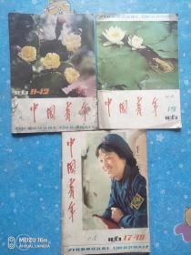 中国青年1981（3册合售）