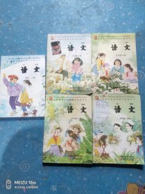 义务教育课程标准实验教科书  语文 4年级上下册、5年级上下册、6年级上册（5册合售）