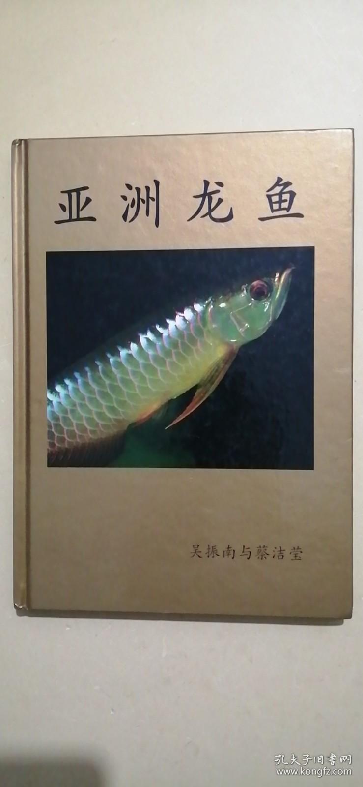 亚洲龙鱼