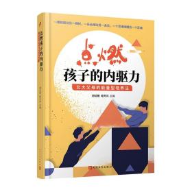 点燃孩子的内驱力：北大父母的能量型培养法