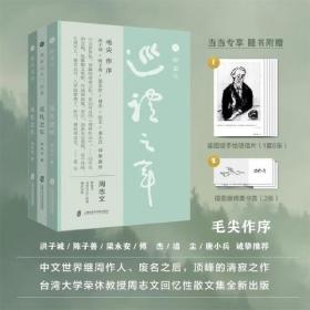 巡礼之年（全三册）毛尖作序，洪子诚、陈子善、梁永安、傅杰、洁尘、唐小兵 诚挚推荐