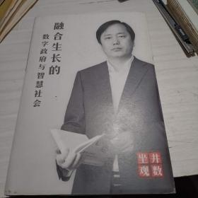 融合生长的数字政府与智慧社会