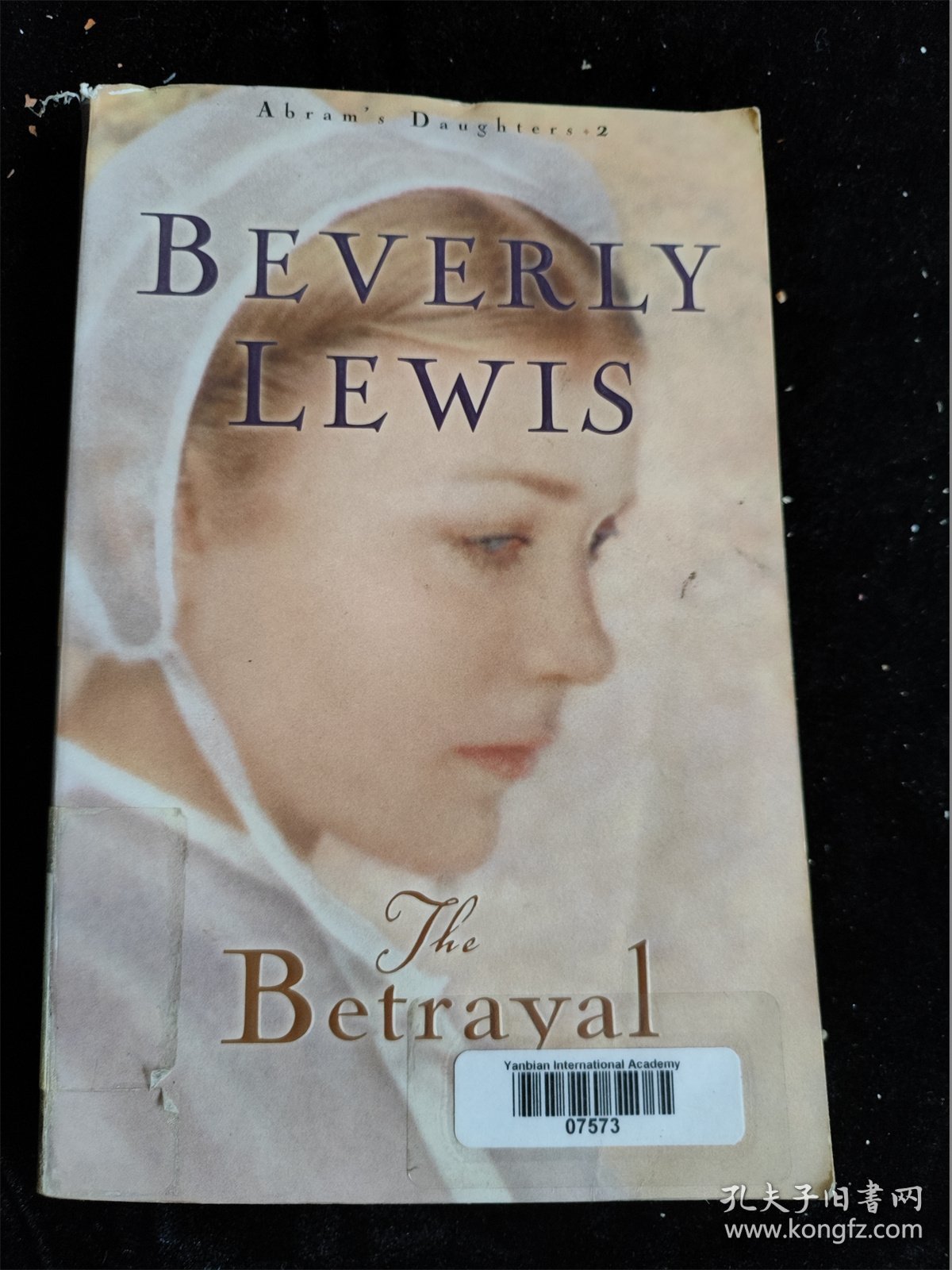 （英文原版）The Betrayal    Beverly Lewis（大32开）