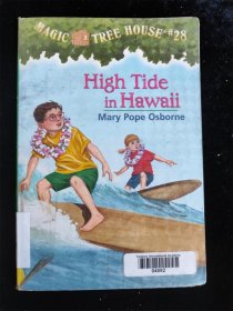 （英文原版）High Tide in Hawaii（32开）