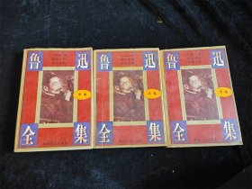 鲁迅全集(上中下 全3卷)