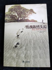 男孩依然失踪