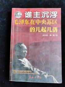 谁主沉浮毛泽东在中央苏区的几起几落