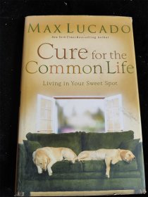 （英文原版）Cure for the Common Life（大32开）