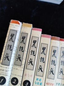 黑镜头（1-11册合售）西方摄影记者眼中的世界风云