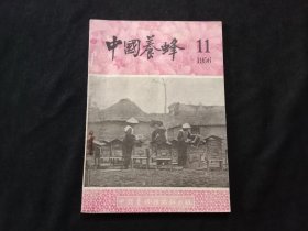 老期刊：中国养蜂（1956年第11期）（总第157期）（品相好）（仅印3200册）