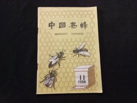 老期刊：中国养蜂（1958年第11期）（总第181期）（品相好）