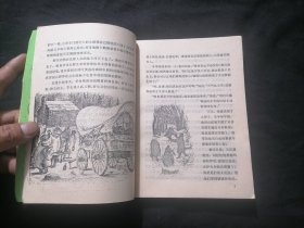 大草原上的小房子（外国儿童文学丛书）（威廉斯插图本）