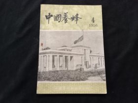 老期刊：中国养蜂（1956年第4期）（总第150期）（品相好）（仅印3000册）