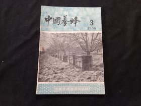 老期刊：中国养蜂（1956年第3期）（总第149期）（品相好）（仅印3000册）