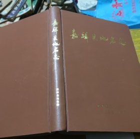 嘉祥县地名志（16开2003年）