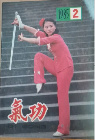 气功杂志1985 2