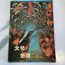 文化与生活 1980 4