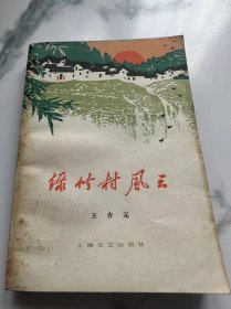 绿竹村风云