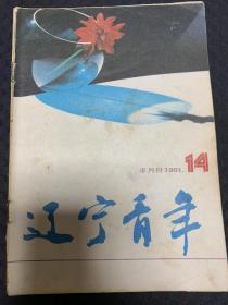 辽宁青年 1991 14