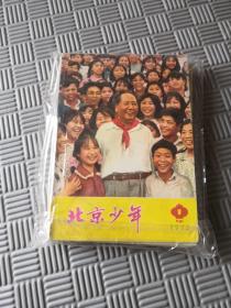 北京少年1973年（1.2.3.6.7.8.9.10.11.12）10册合售6书脊裂了 见